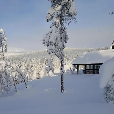 Holiday home Sorbolhytta By Norgesbooking - In Fla, Close To Bjorneparken *